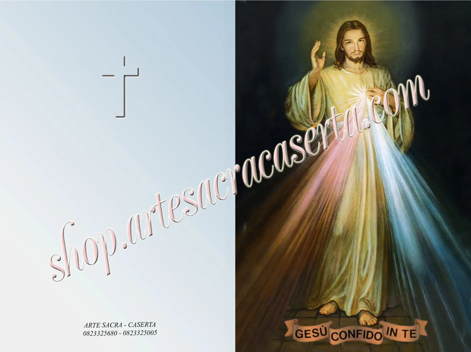 Pagellina Misericordioso