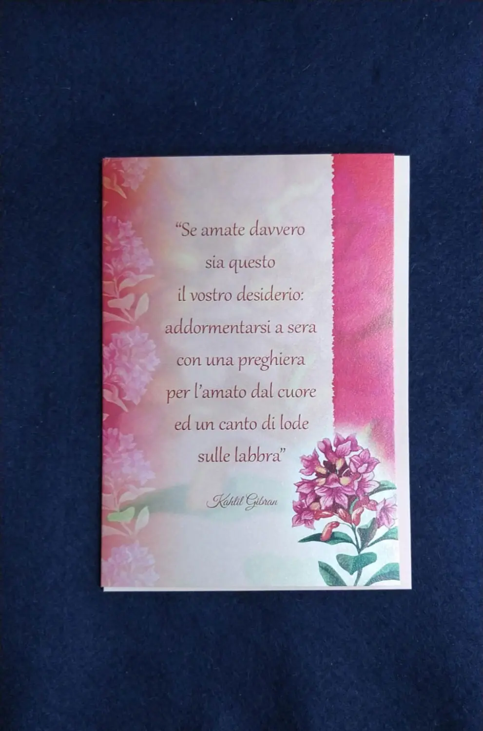 Amore E Canto Di Lode