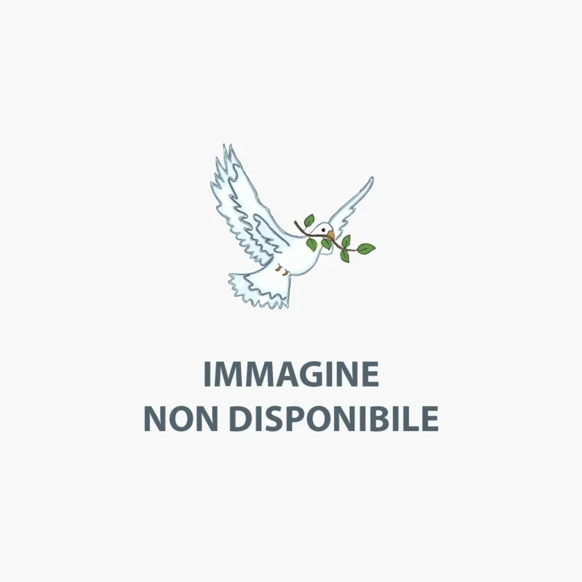 In attesa dell'immagine del prodotto